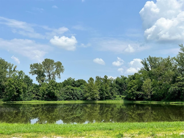 view of water feature