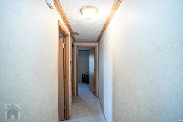 hall featuring crown molding and a textured ceiling