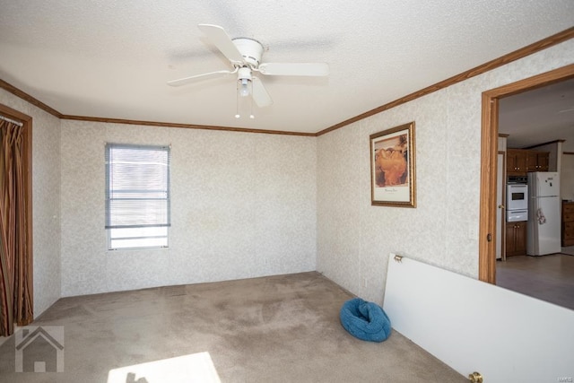 empty room with carpet, ceiling fan, ornamental molding, and a textured ceiling