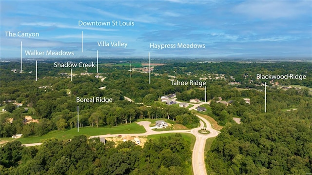 bird's eye view with a forest view