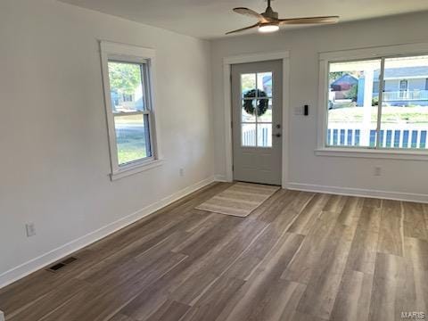 foyer with hardwood / wood-style floors, ceiling fan, and a wealth of natural light