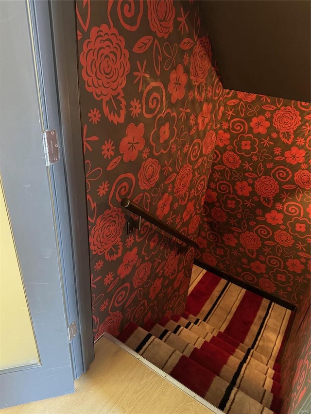 stairway with carpet flooring