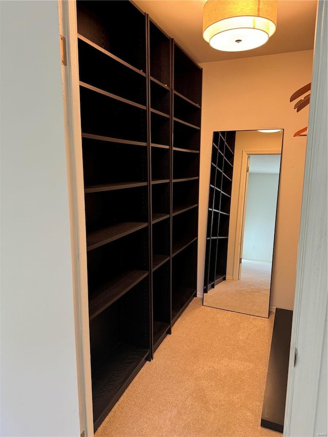 spacious closet with carpet