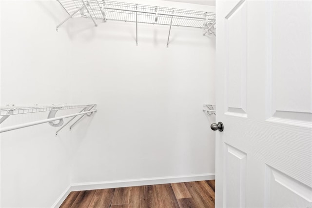 walk in closet with wood-type flooring