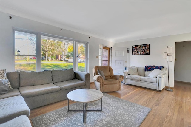 living room featuring light hardwood / wood-style flooring and ornamental molding