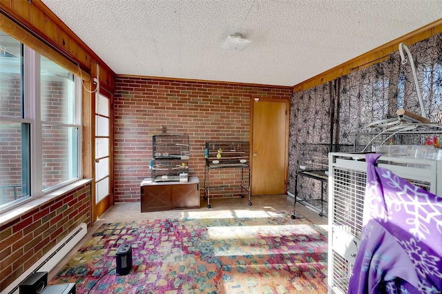 interior space with wood walls, plenty of natural light, a baseboard radiator, and brick wall