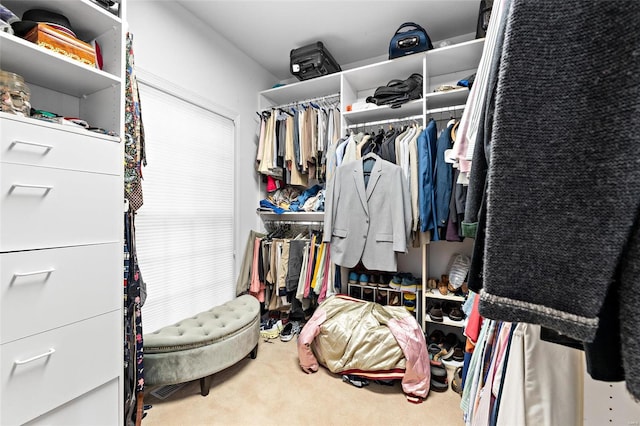 spacious closet with carpet