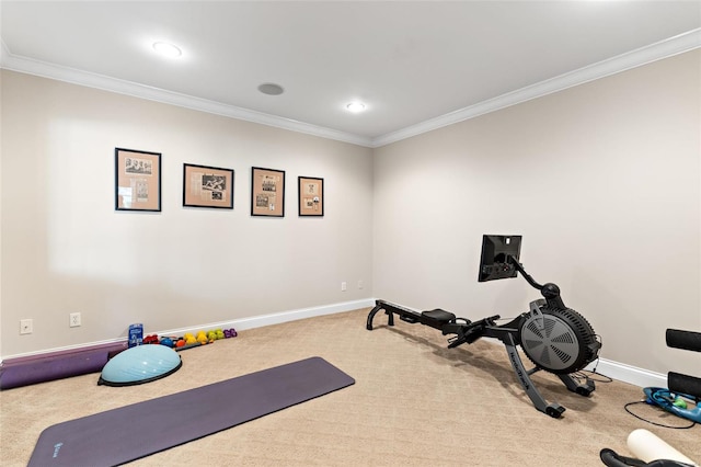 workout area featuring carpet and crown molding