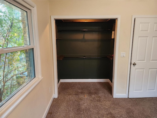 interior space featuring carpet floors