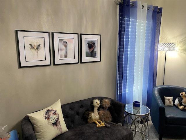 sitting room featuring carpet floors