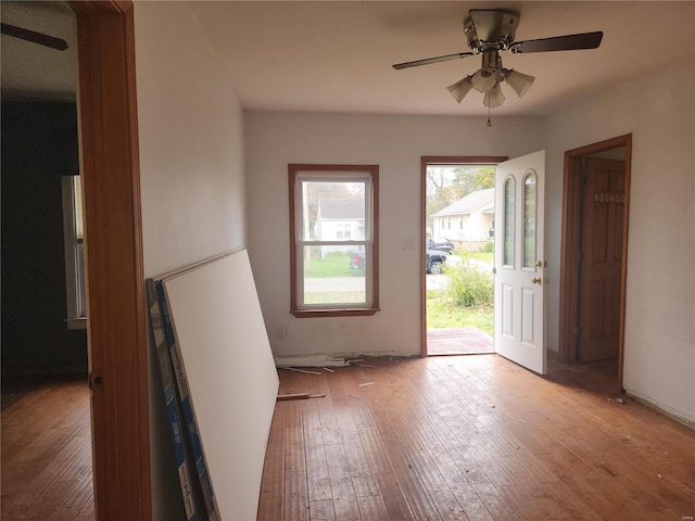 foyer entrance featuring ceiling fan and light wood-type flooring