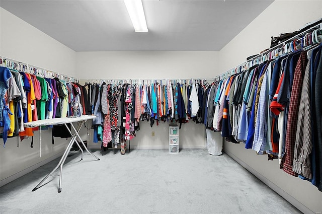 walk in closet featuring carpet floors