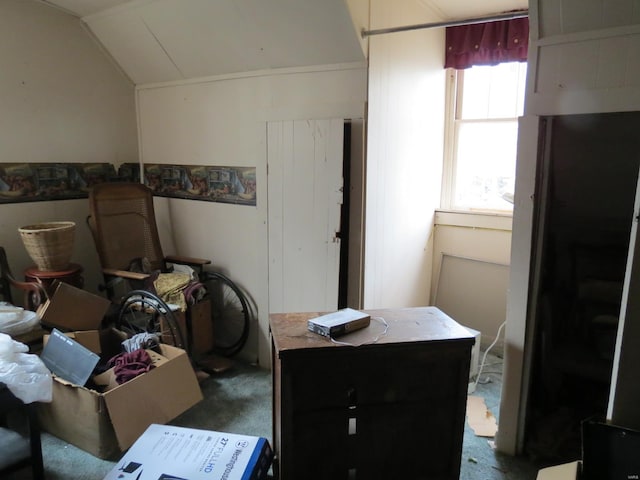 interior space with dark colored carpet and lofted ceiling