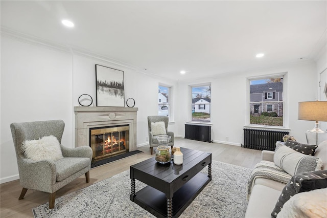 living room with light wood-type flooring, ornamental molding, and radiator