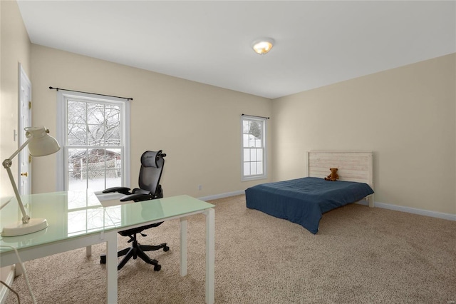 bedroom featuring carpet flooring and multiple windows