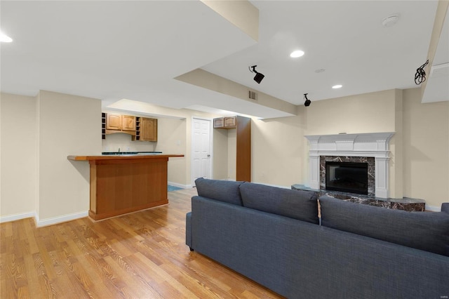 living room featuring a fireplace and light hardwood / wood-style flooring