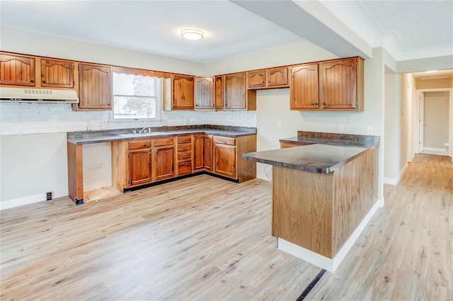 kitchen with decorative backsplash, light hardwood / wood-style floors, kitchen peninsula, and sink