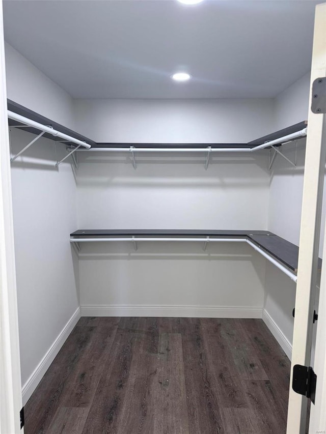 walk in closet with dark wood-style flooring