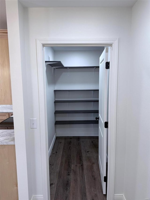 interior space featuring wood finished floors