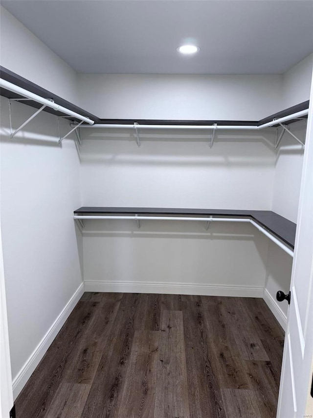 spacious closet featuring dark wood finished floors