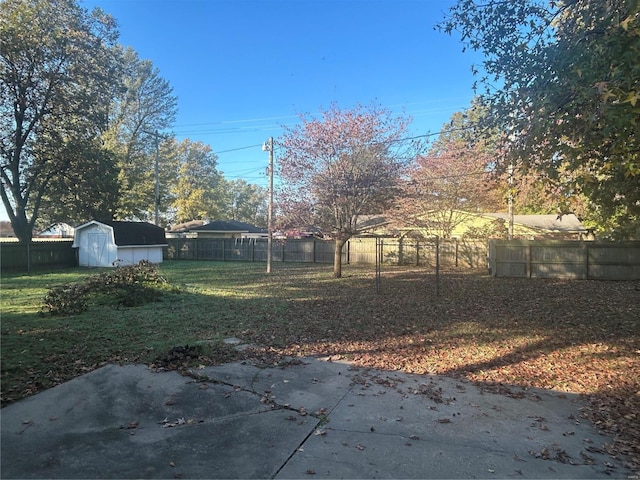 view of yard featuring a patio area and a shed