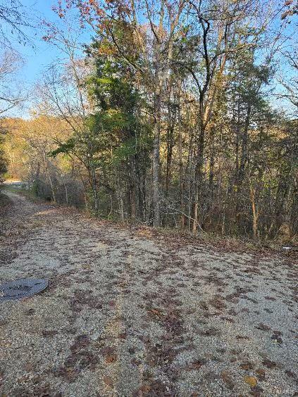 1 Fox Ln, Branson MO, 65740 land for sale