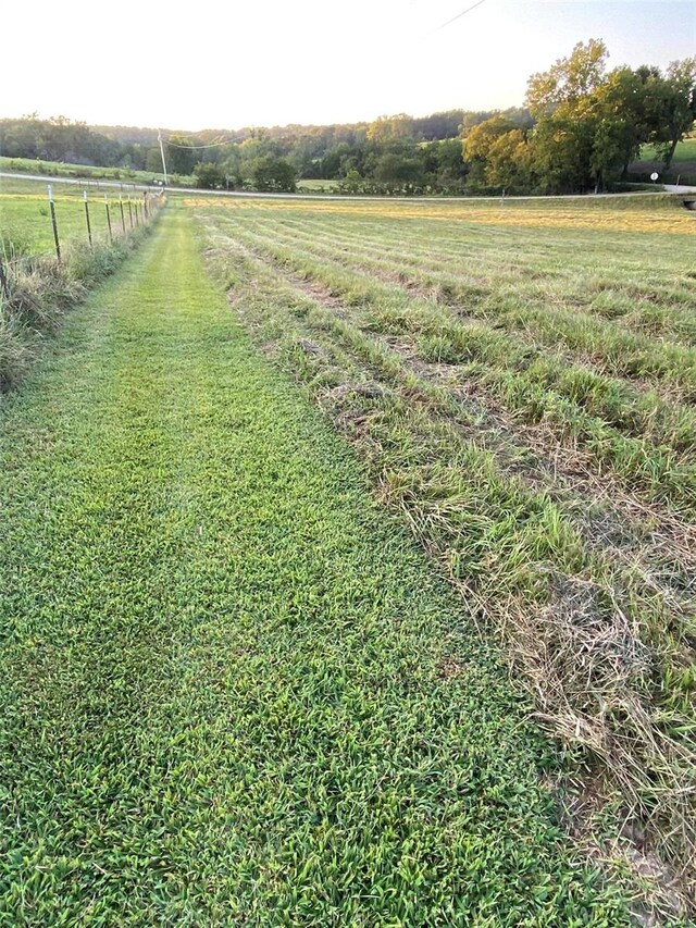 view of yard featuring a rural view