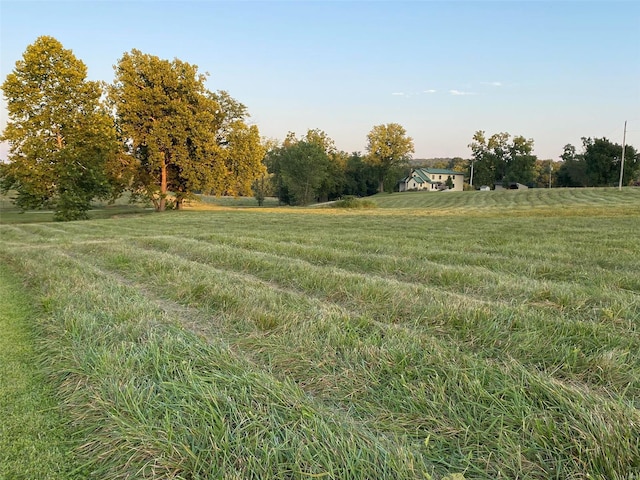 view of yard featuring a rural view