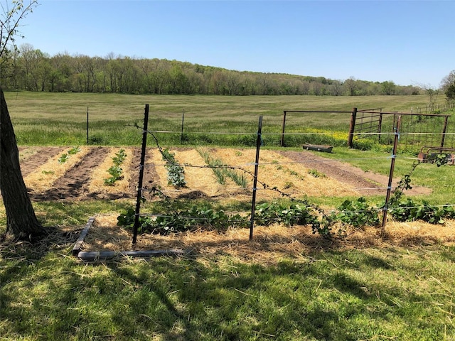 view of yard featuring a rural view