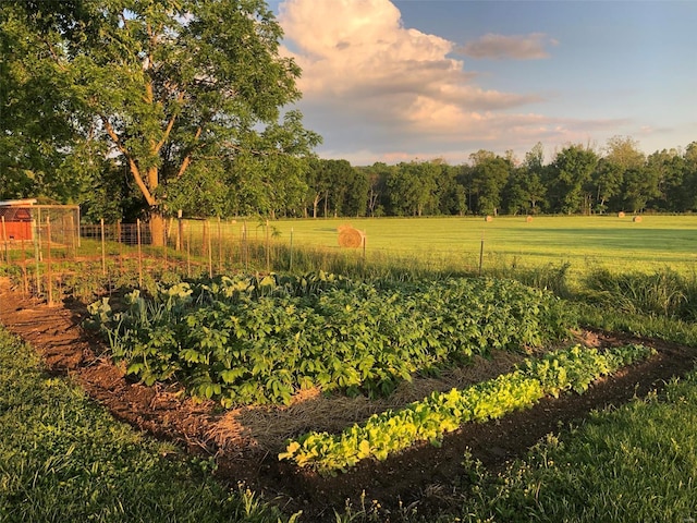 yard at dusk featuring a rural view