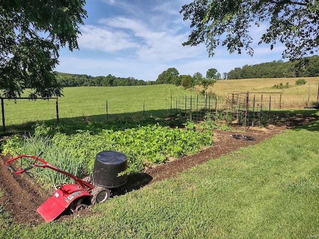 view of yard featuring a rural view