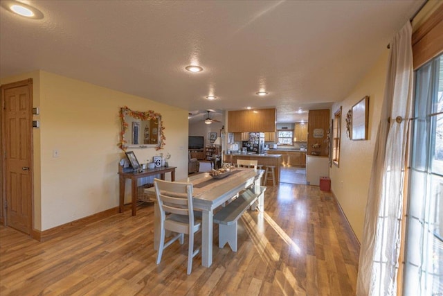 dining room with light wood-type flooring, a textured ceiling, and ceiling fan