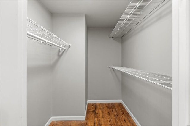 walk in closet featuring hardwood / wood-style floors