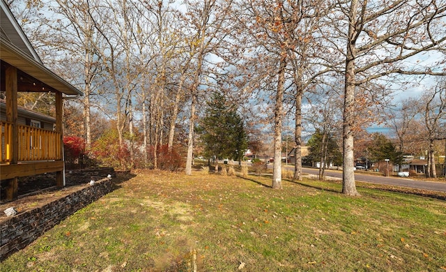 view of yard featuring a wooden deck