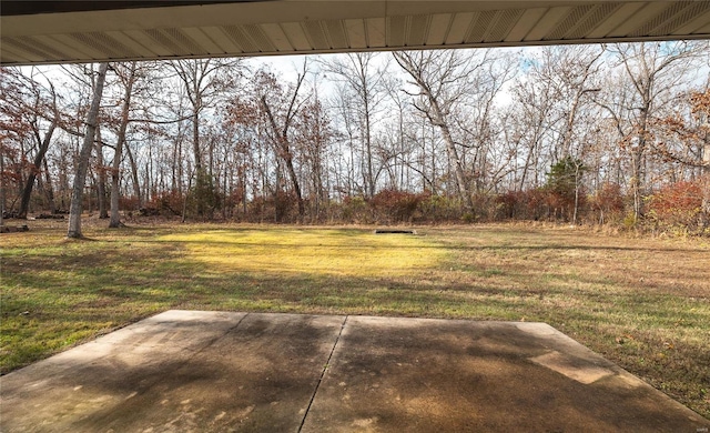 view of yard with a patio area