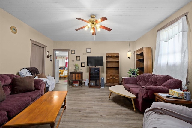 living room with light wood-type flooring and ceiling fan