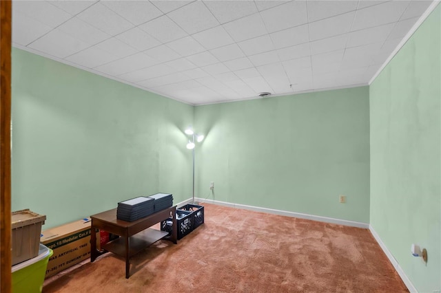 interior space with carpet floors and ornamental molding