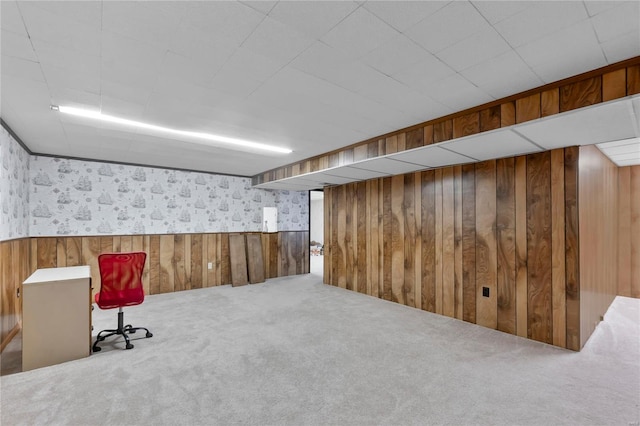 basement featuring carpet and wood walls