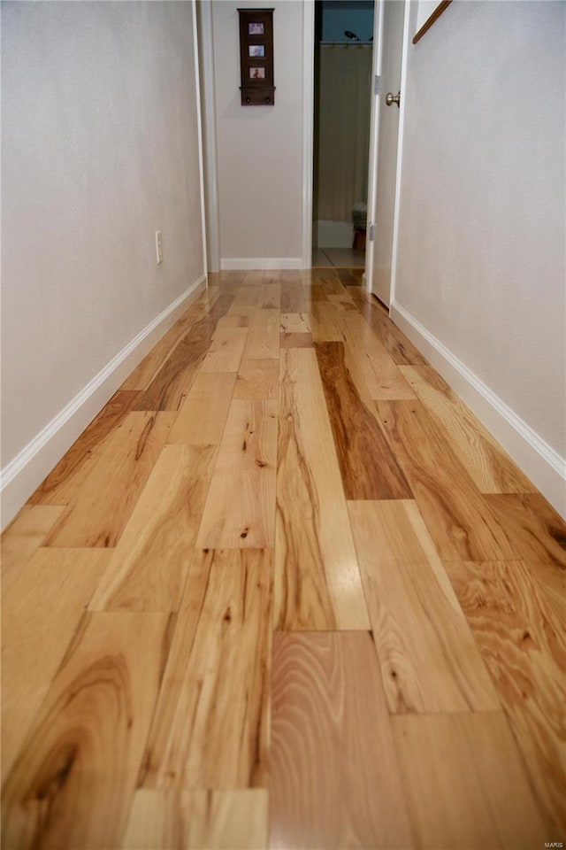 hall featuring wood-type flooring