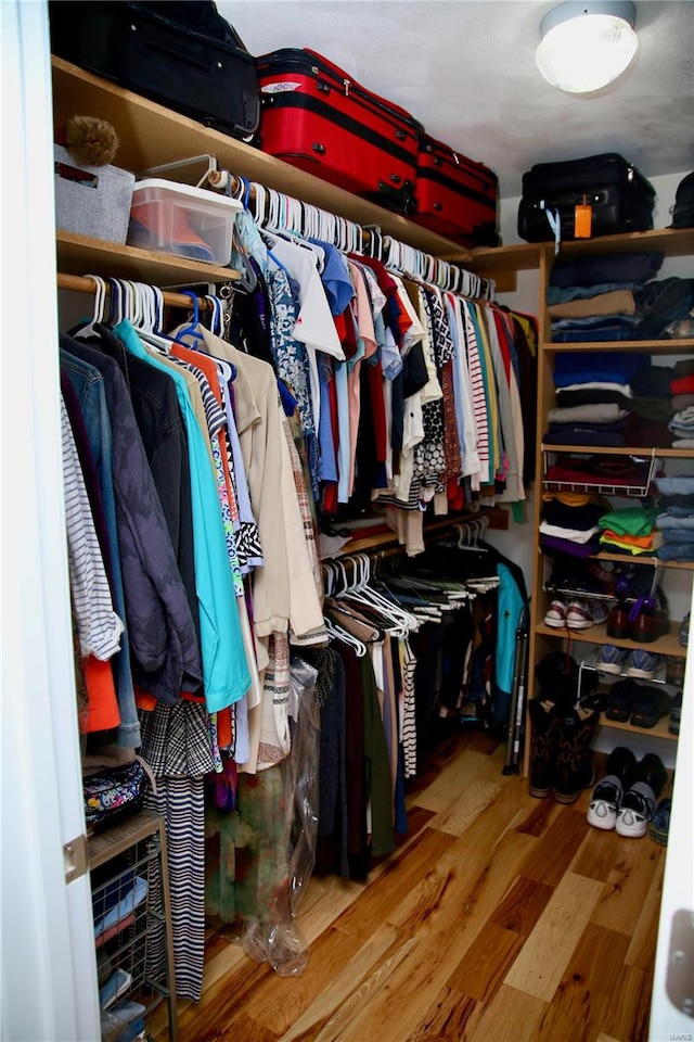 spacious closet with hardwood / wood-style floors