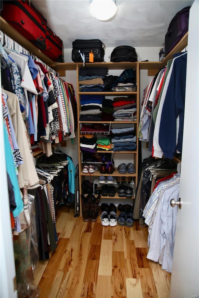 walk in closet with wood-type flooring