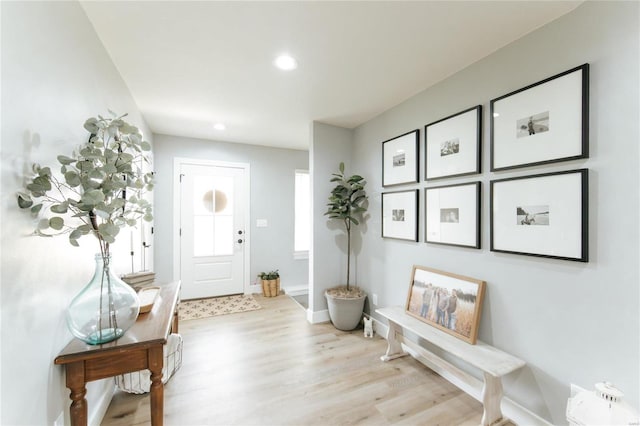 foyer entrance with light hardwood / wood-style floors