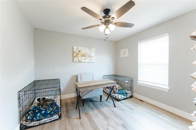 office space featuring light hardwood / wood-style flooring and ceiling fan