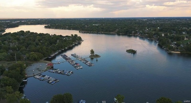 aerial view at dusk with a water view