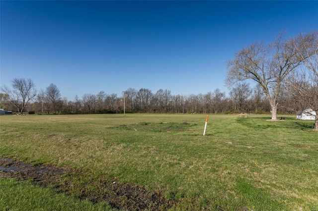 view of yard with a rural view