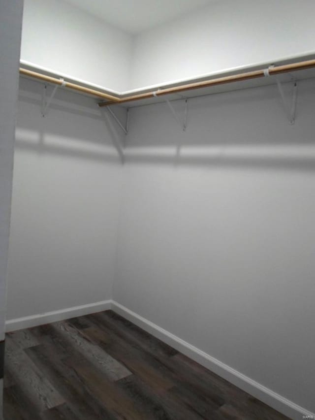 spacious closet with dark hardwood / wood-style floors