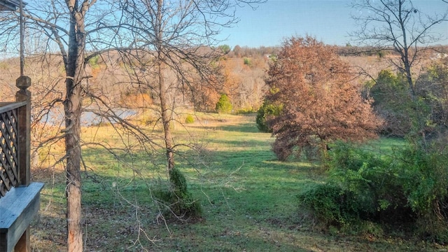 view of local wilderness