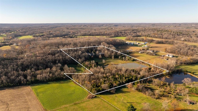 bird's eye view with a water view and a rural view