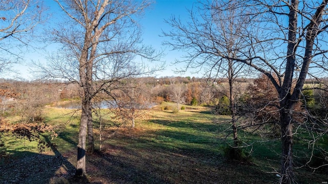 view of local wilderness with a water view