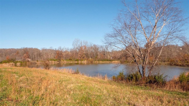 water view featuring a forest view